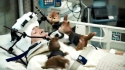 انیمیشن آلوین و سنجاب ها ۲